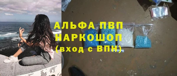 сатива Михайловск
