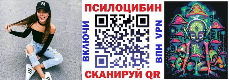 Псилоцибиновые грибы Psilocybe Заречный
