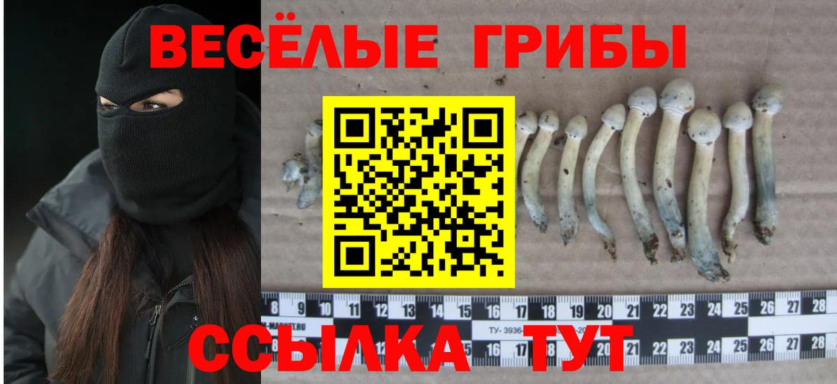 Псилоцибиновые грибы мухоморы  Галлюциногенные грибы мицелий  Вход с VPN  Заречный 