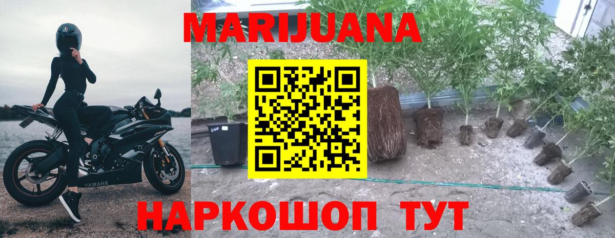Бошки марихуана VHQ  Каннабис SATIVA & INDICA  Вход с VPN  Бошки Шишки Amnesia  Бошки марихуана ГИДРОПОН  Заречный 